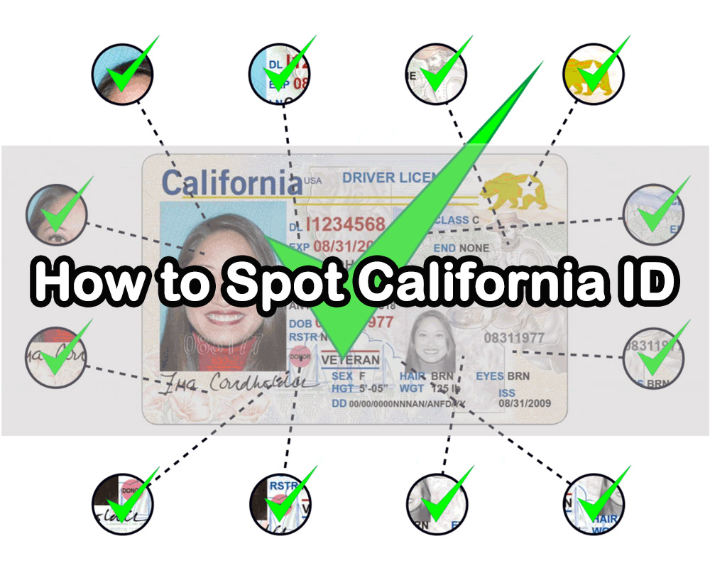 How to Spot California IDs