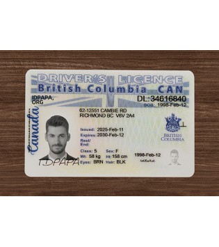 British Columbia Driver’s Licence (2025 Version)