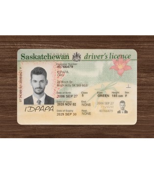 Saskatchewan Scannable Driver’s Licence