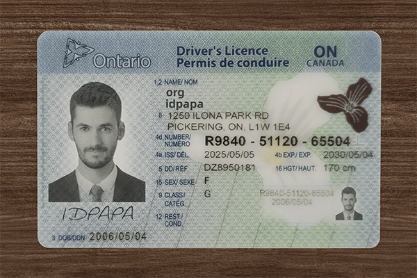 Ontario driver’s license sample labeled idpapa with male photo, official design elements, holograms, and detailed license information