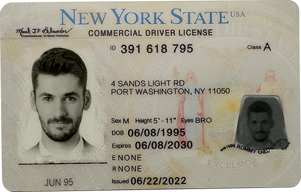 New York State novelty driver's license featuring a man's photo, sample ID details, and the text IDPAPA near the bottom left New York State novelty driver's license featuring a man's photo, sample ID details, and the text IDPAPA near the bottom left