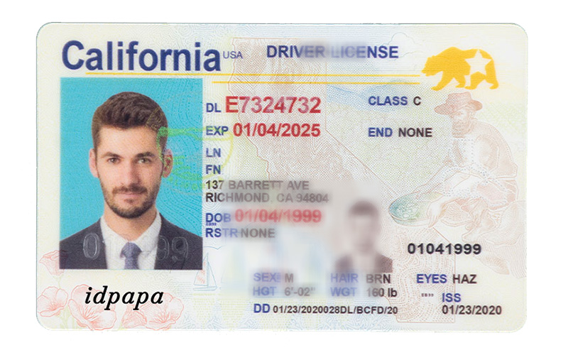 California State novelty driver's license featuring a man's photo, sample ID details, and the text IDPAPA near the bottom left California State novelty driver's license featuring a man's photo, sample ID details, and the text IDPAPA near the bottom left
