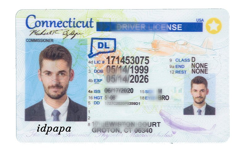 Sample Connecticut Driver License showing standard elements like a yellow star, Class D license, ghost image, and IDPapa watermark—used for novelty or demo purposes.