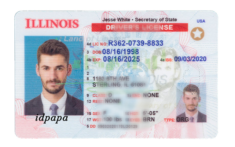 Illinois novelty driver's license featuring a man's photo, sample ID details, and the text idpapa on the bottom left