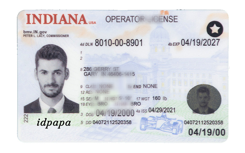 Sample INDIANA  novelty driver’s license with male photo, personal details, and IDPapa branding