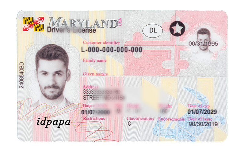 Maryland novelty driver's license sample with male photo and ID Papa watermark