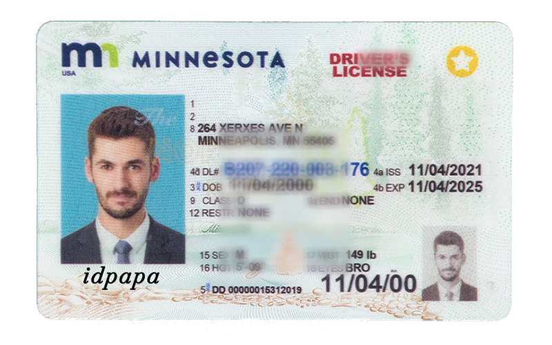 Sample Minnesota Driver's License showing standard elements like a yellow star, Class D license, ghost image, and IDPapa watermark—used for novelty or demo purposes