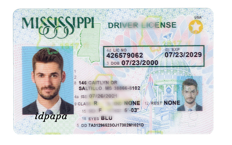 Mississippi novelty driver's license sample with male photo and ID Papa watermark
