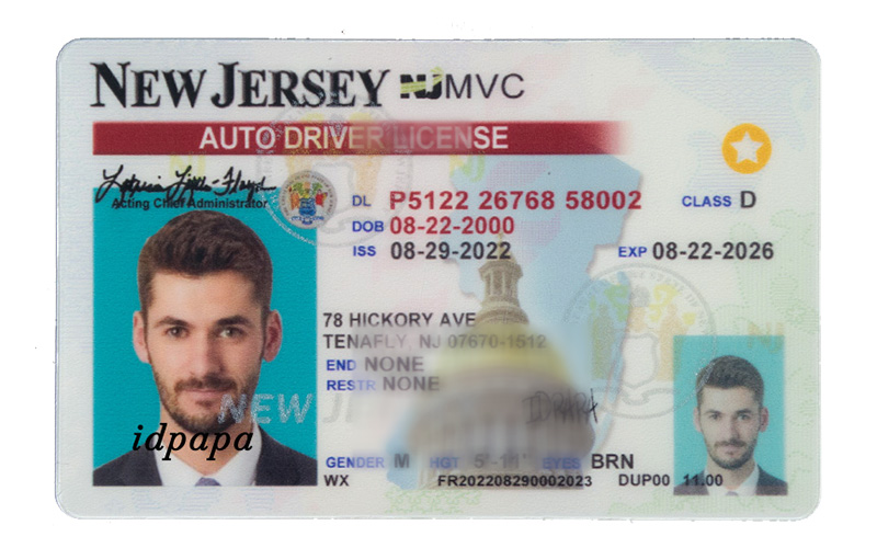 A novelty New Jersey driver’s license labeled IDPAPA with a male photo, realistic state design elements, holograms, and detailed license information A novelty New Jersey driver’s license labeled IDPAPA with a male photo, realistic state design elements, holograms, and detailed license information