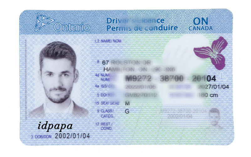 Sample Ontario driver’s license with the name IDPAPA displayed Sample Ontario driver’s license with the name IDPAPA displayed