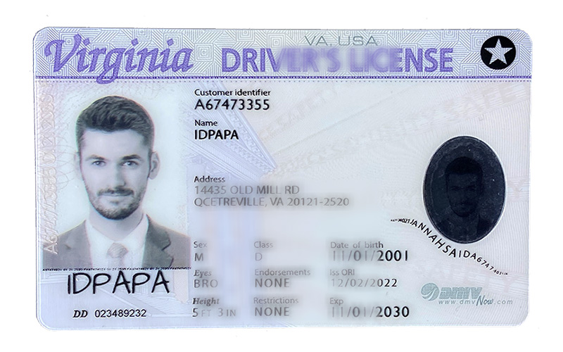 Novelty Virginia driver's license with a male photo and the word idpapa labeled on it