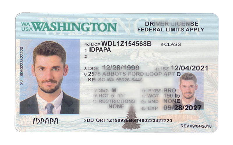 A novelty Washington driver's license labeled IDPAPA with a male photo, fictitious personal details, and standard license elements like name, address, date of birth, height, and expiration date