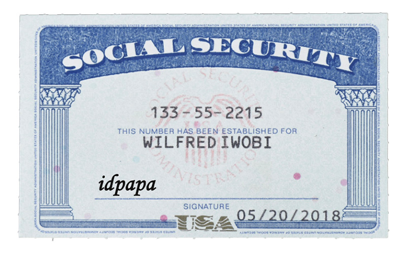 Social Security driver’s license sample labeled idpapa with male photo, official state design elements